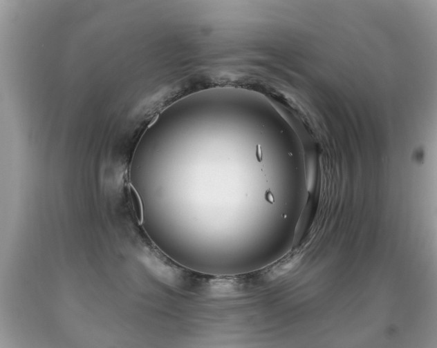 X0000091940574200709051525