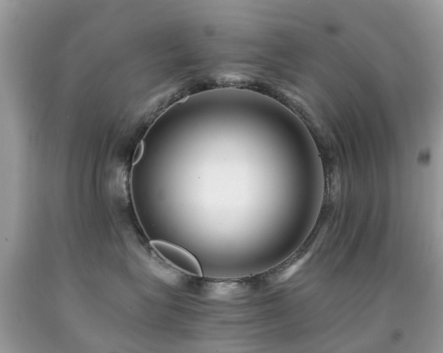 X0000091940575200709051525