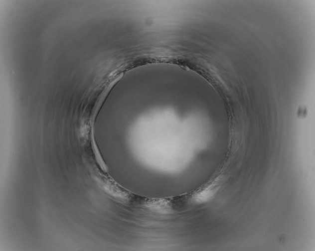 X0000091940576200709051525