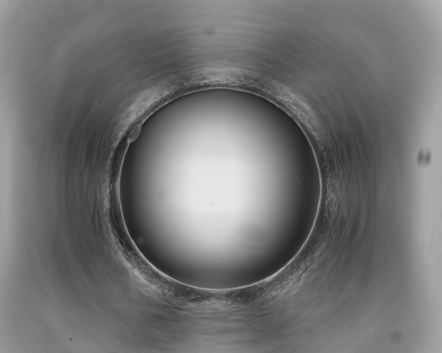 X0000091940578200709051524