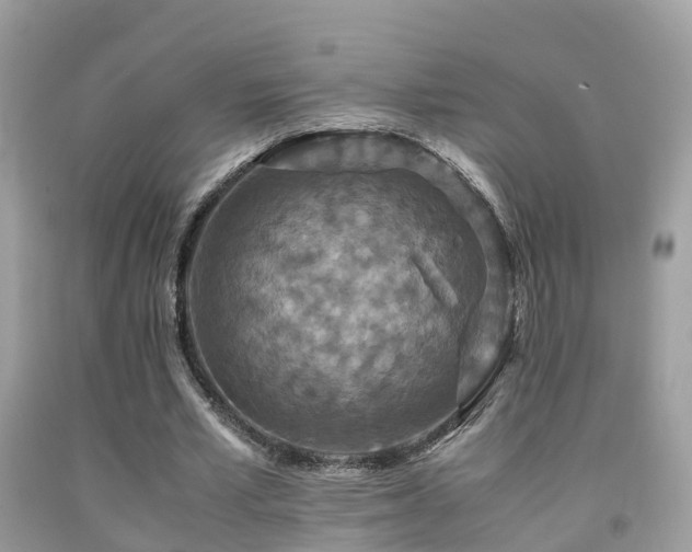 X0000091940581200709051524