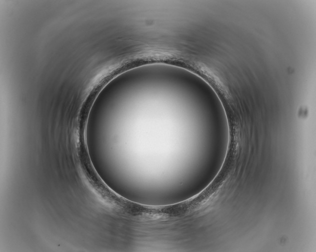 X0000091940582200709051524