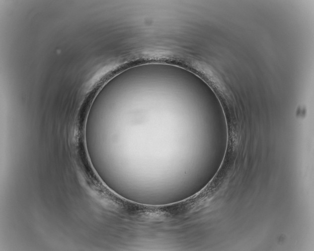 X0000091940583200709051524