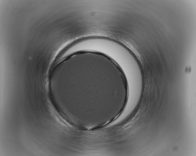 X0000091940584200709051524