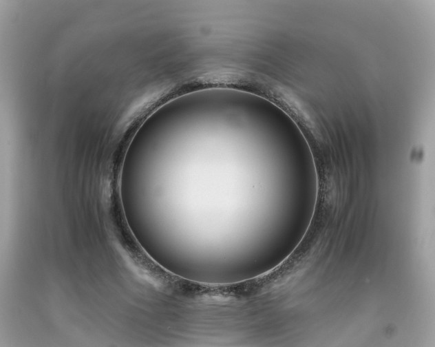 X0000091940586200709051524