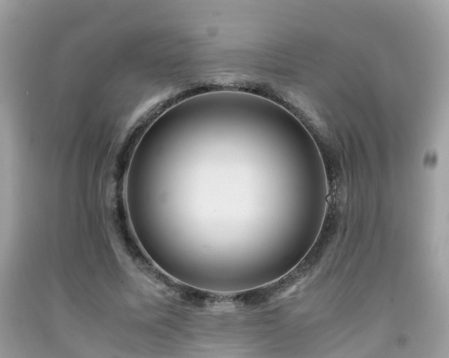 X0000091940587200709051524