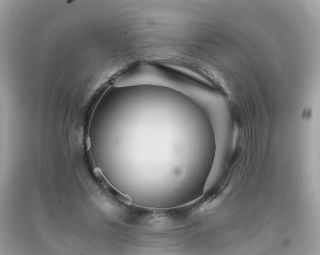 X0000091940589200709051524