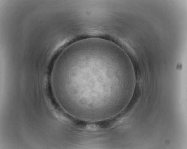 X0000091940591200709051524