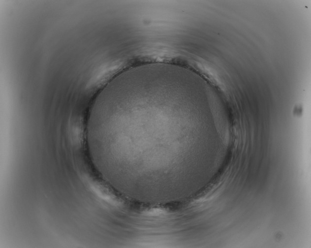 X0000091940594200709051524