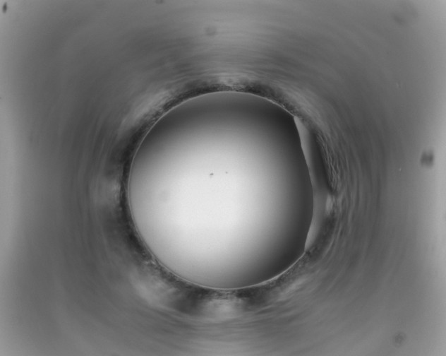 X0000091940595200709051524