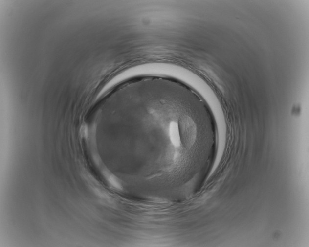 X0000091940597200709051524