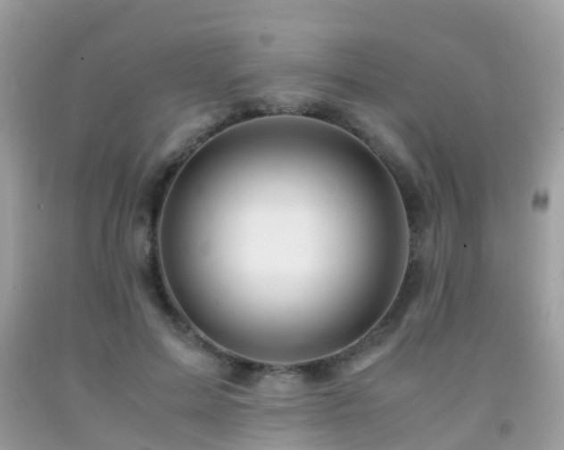 X0000091940599200709051524