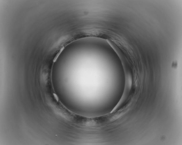 X0000091940600200709051524