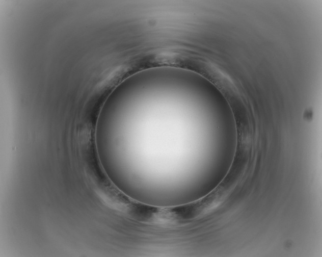 X0000091940603200709051524