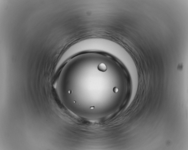 X0000091940604200709051524