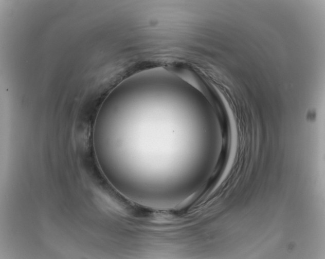 X0000091940605200709051524