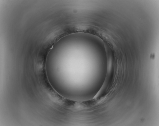 X0000091940608200709051524