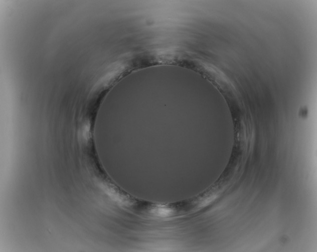 X0000091940610200709051524