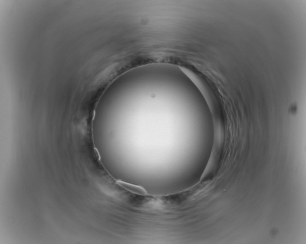 X0000091940611200709051524