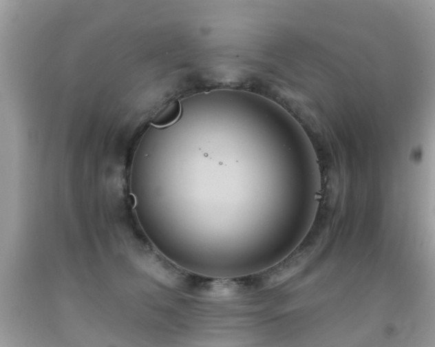 X0000091940612200709051524