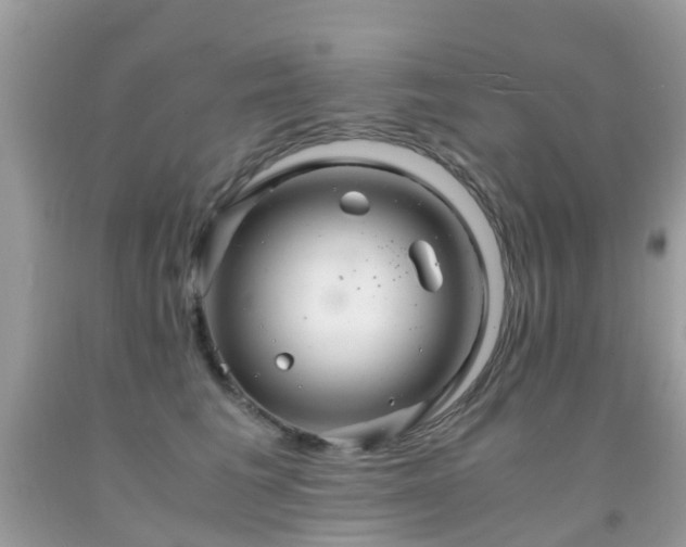 X0000091940613200709051524