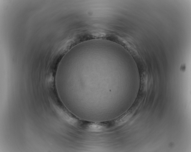 X0000091940614200709051524