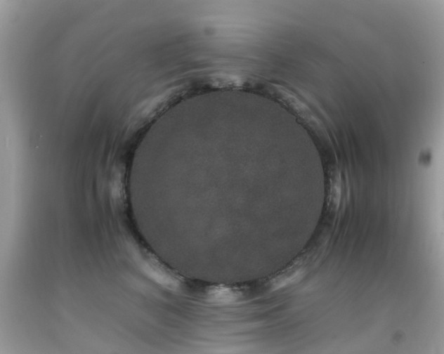 X0000091940616200709051524