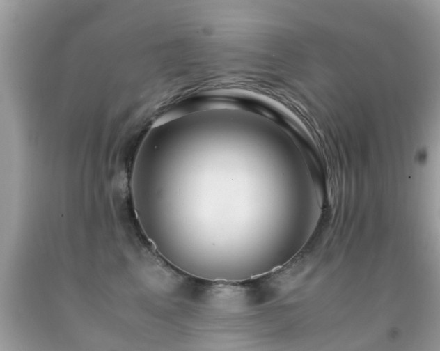 X0000091940617200709051524