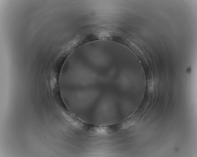 X0000091940618200709051524