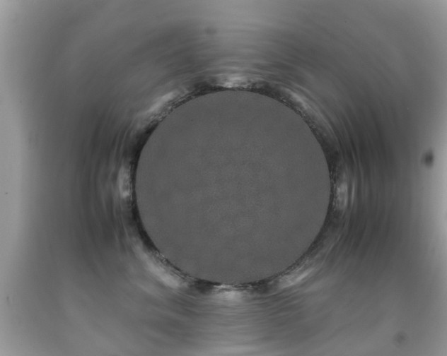 X0000091940620200709051524