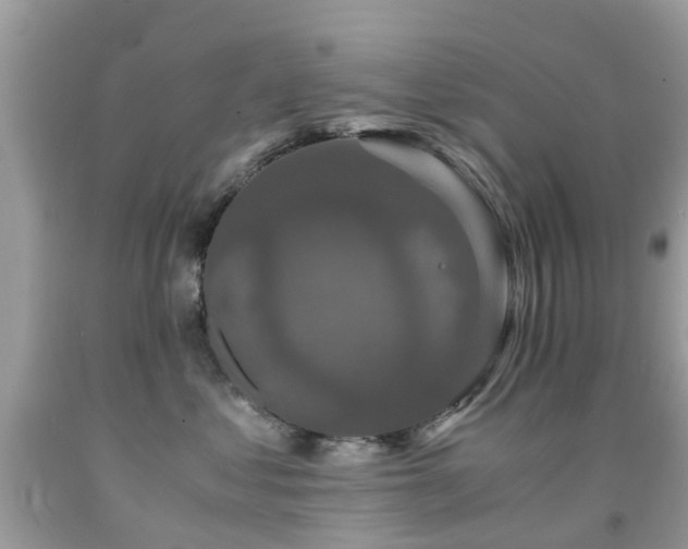 X0000091940621200709051524