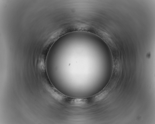 X0000091940622200709051524