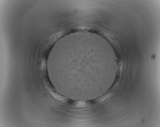 X0000091940623200709051524