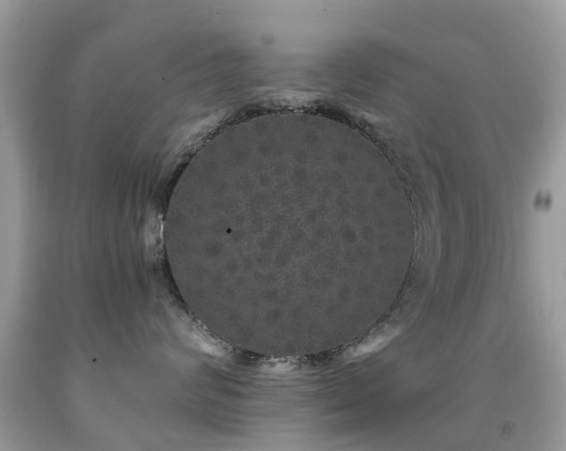 X0000091940624200709051524