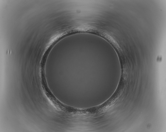 X0000091940626200709051523