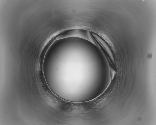 X0000091940628200709051523