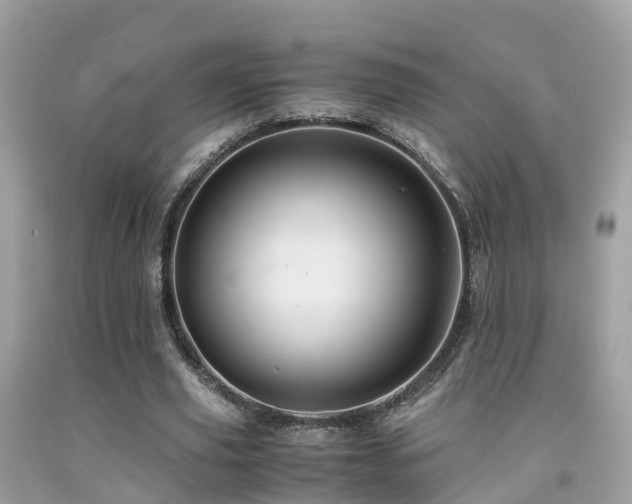 X0000091940629200709051523