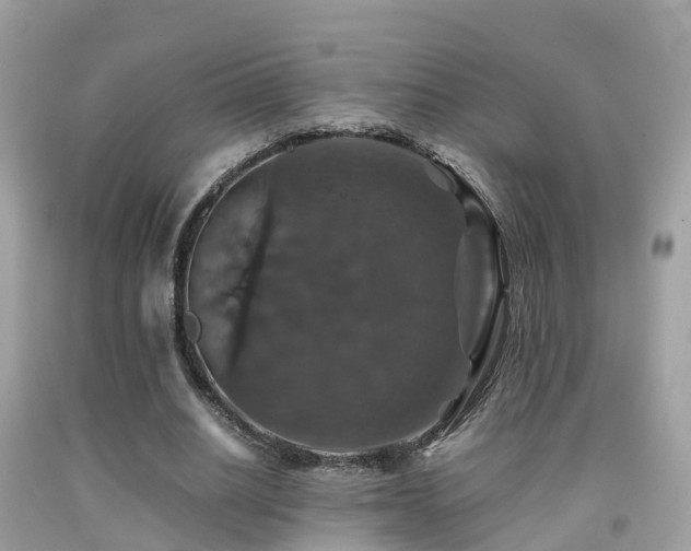 X0000091940630200709051523