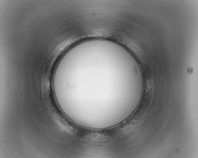 X0000091940632200709051523