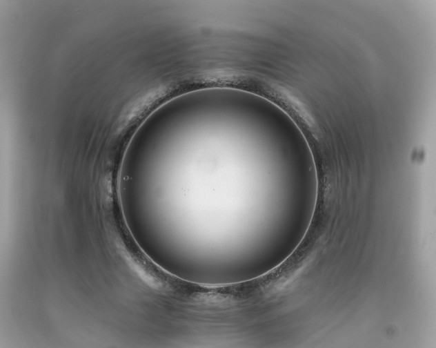 X0000091940633200709051523