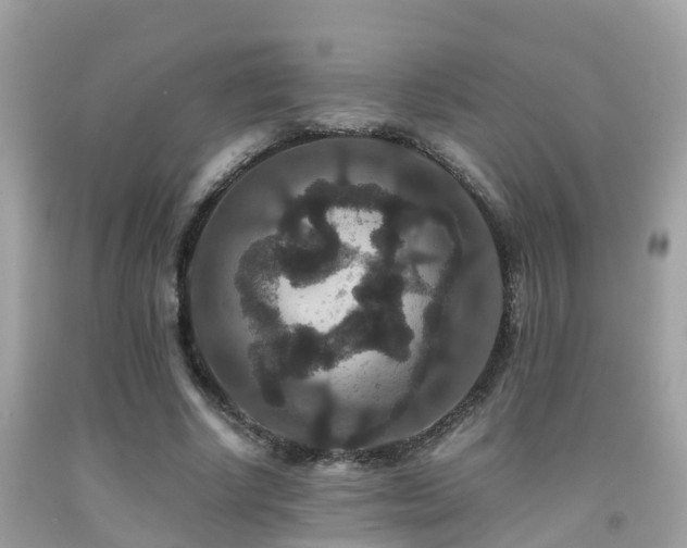 X0000091940634200709051523