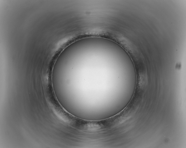 X0000091940636200709051523