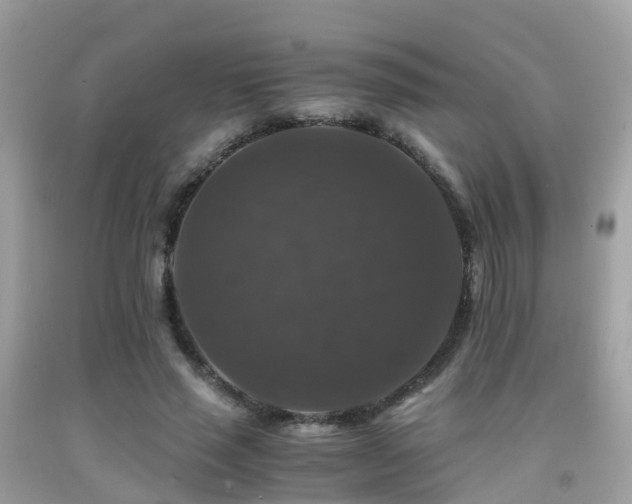 X0000091940637200709051523