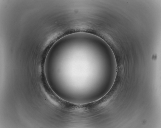 X0000091940638200709051523