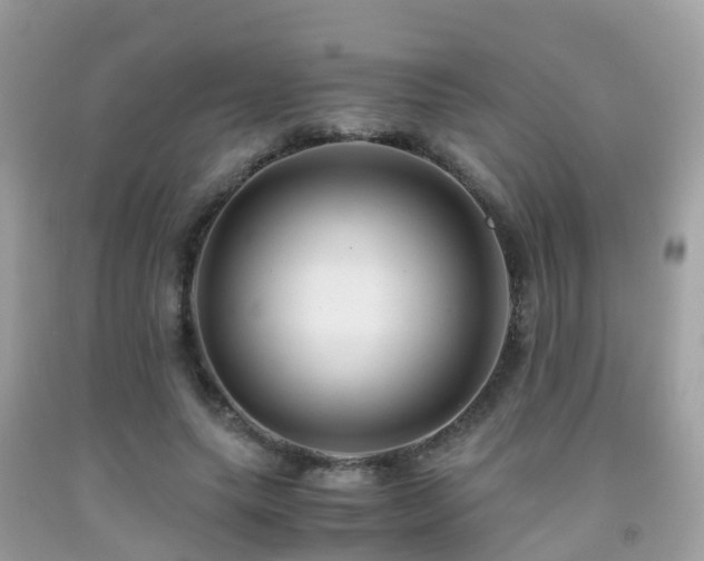 X0000091940639200709051523