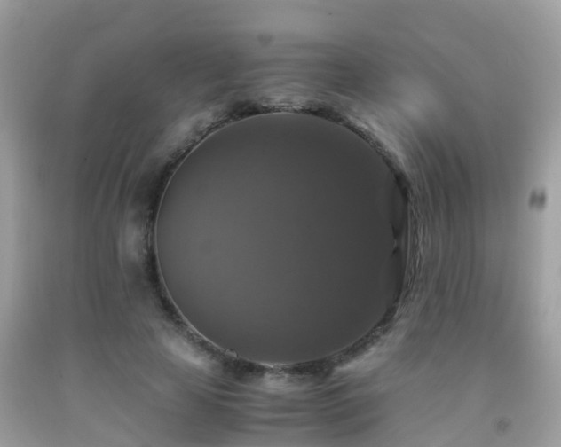 X0000091940641200709051523