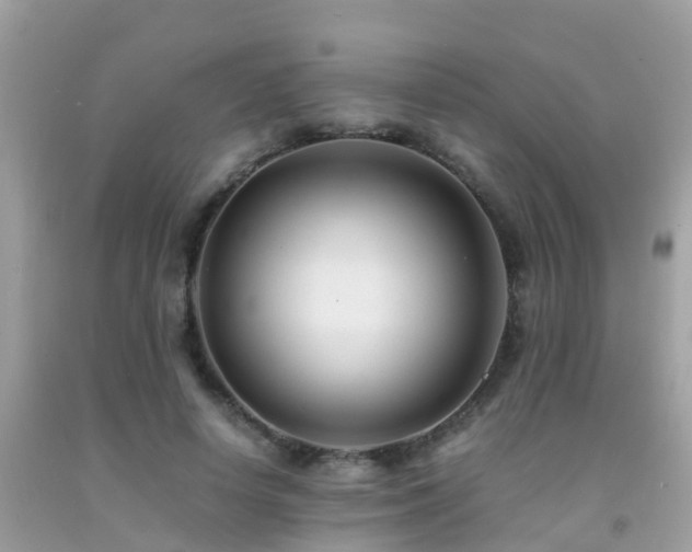 X0000091940642200709051523