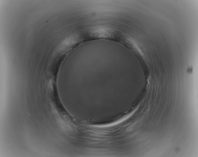 X0000091940643200709051523