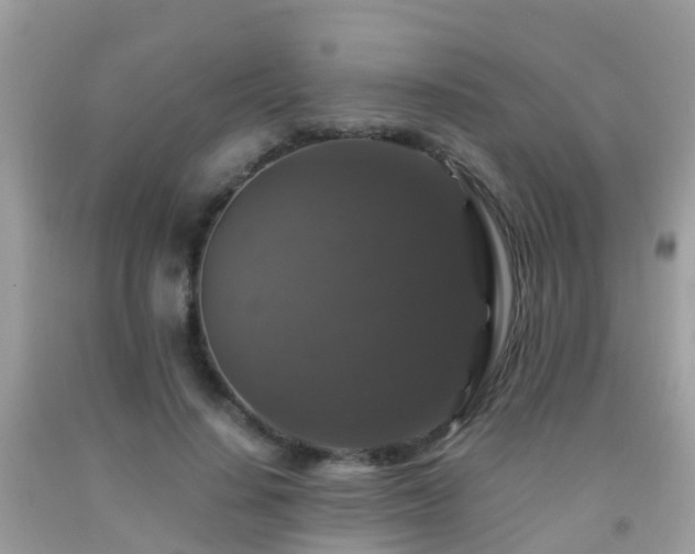 X0000091940644200709051523