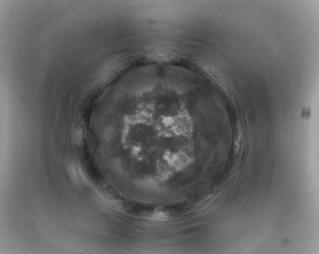 X0000091940647200709051524